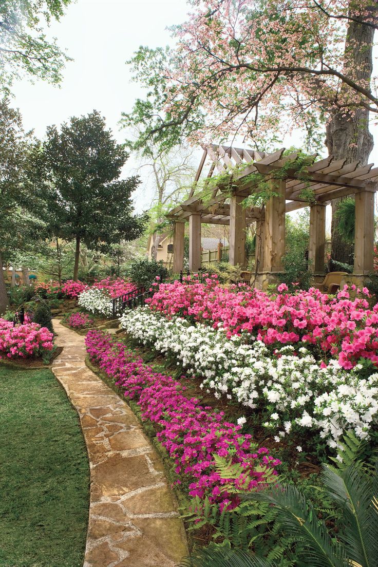 Simple Azaleas Landscaping