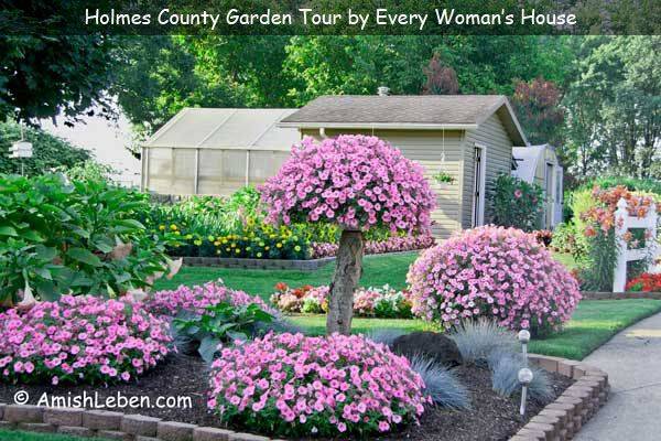 Best Amish Gardens Images