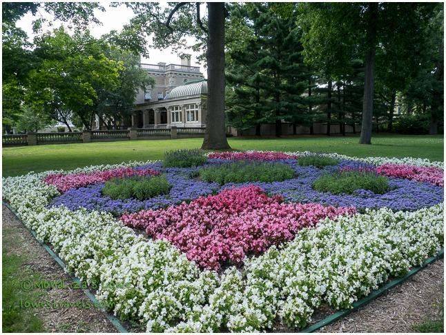 Best Amish Flower Gardens Images