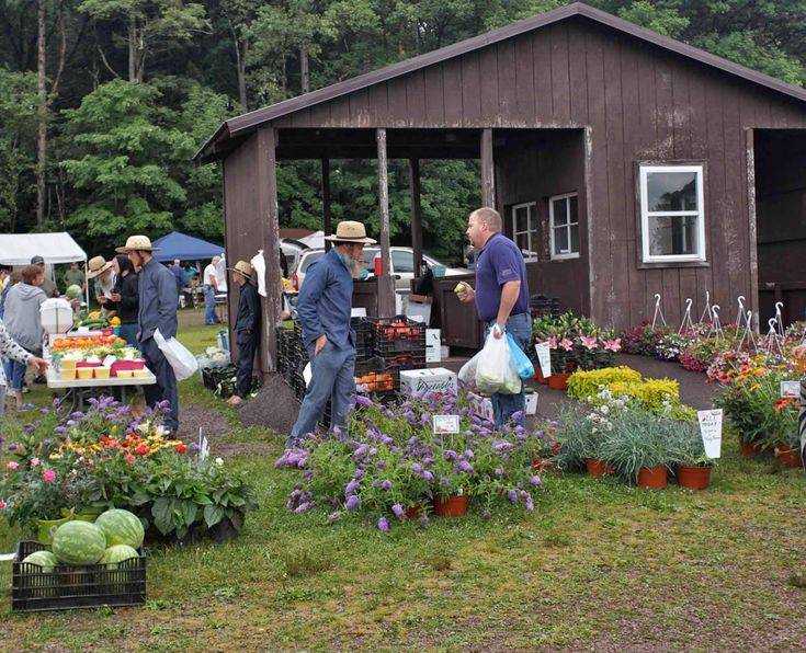 The Bonnets Archives Amish Wisdom Garden