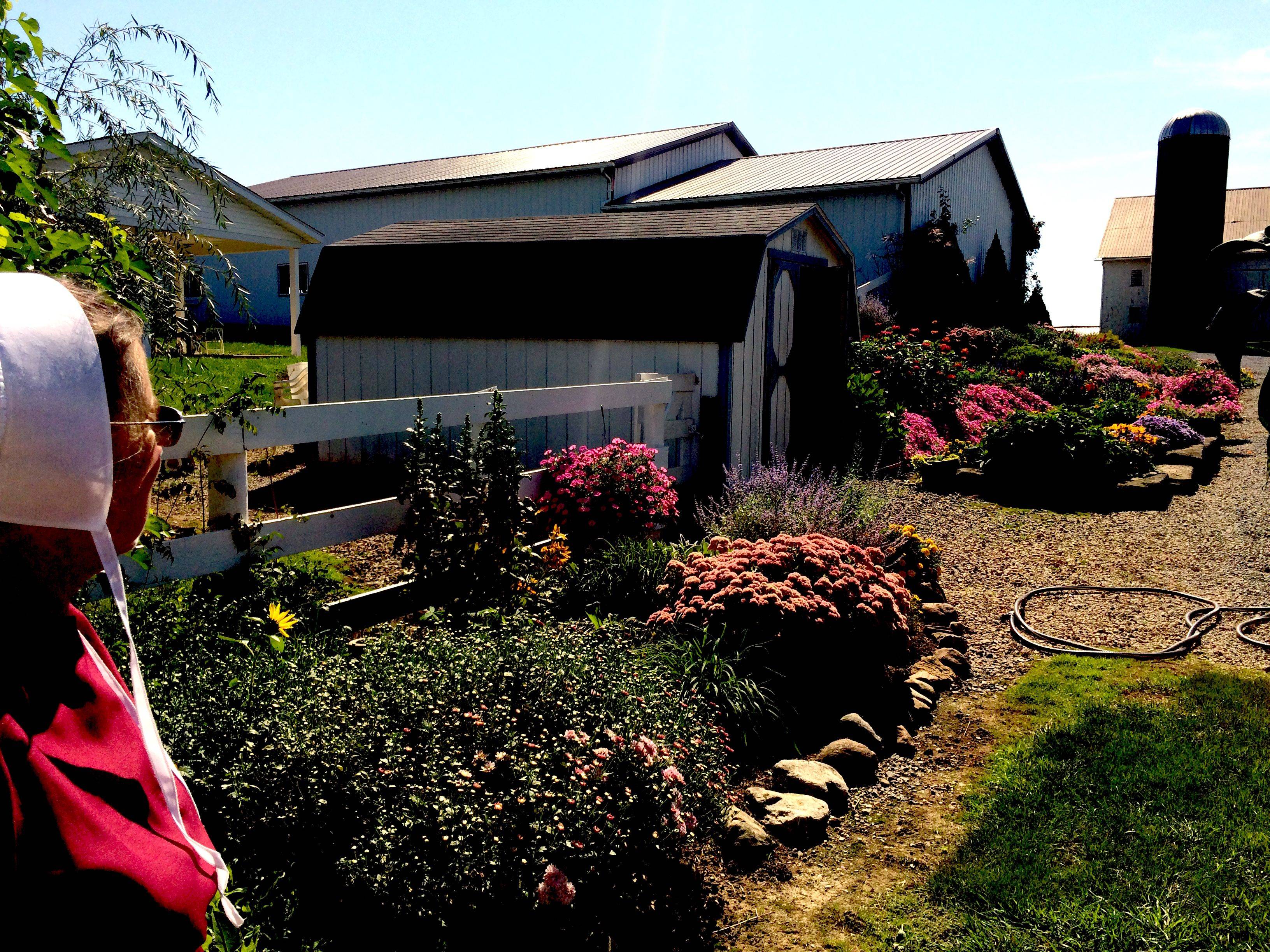 Amish Flower Gardens