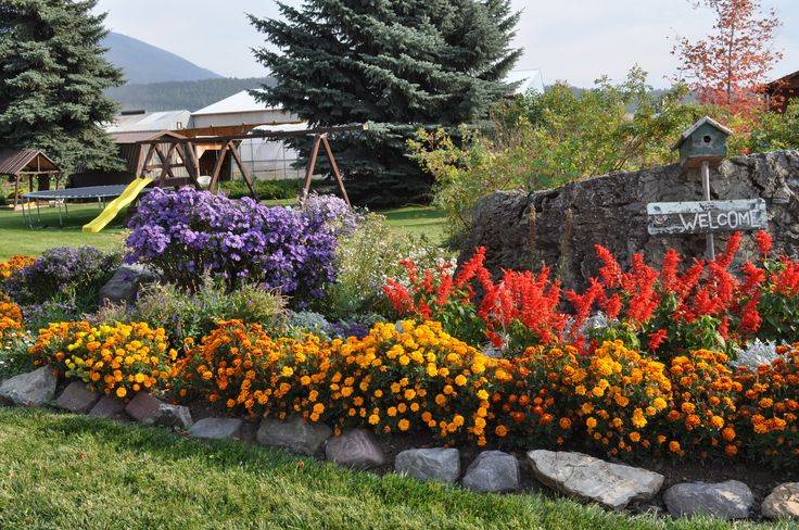 Amish Flower Gardens