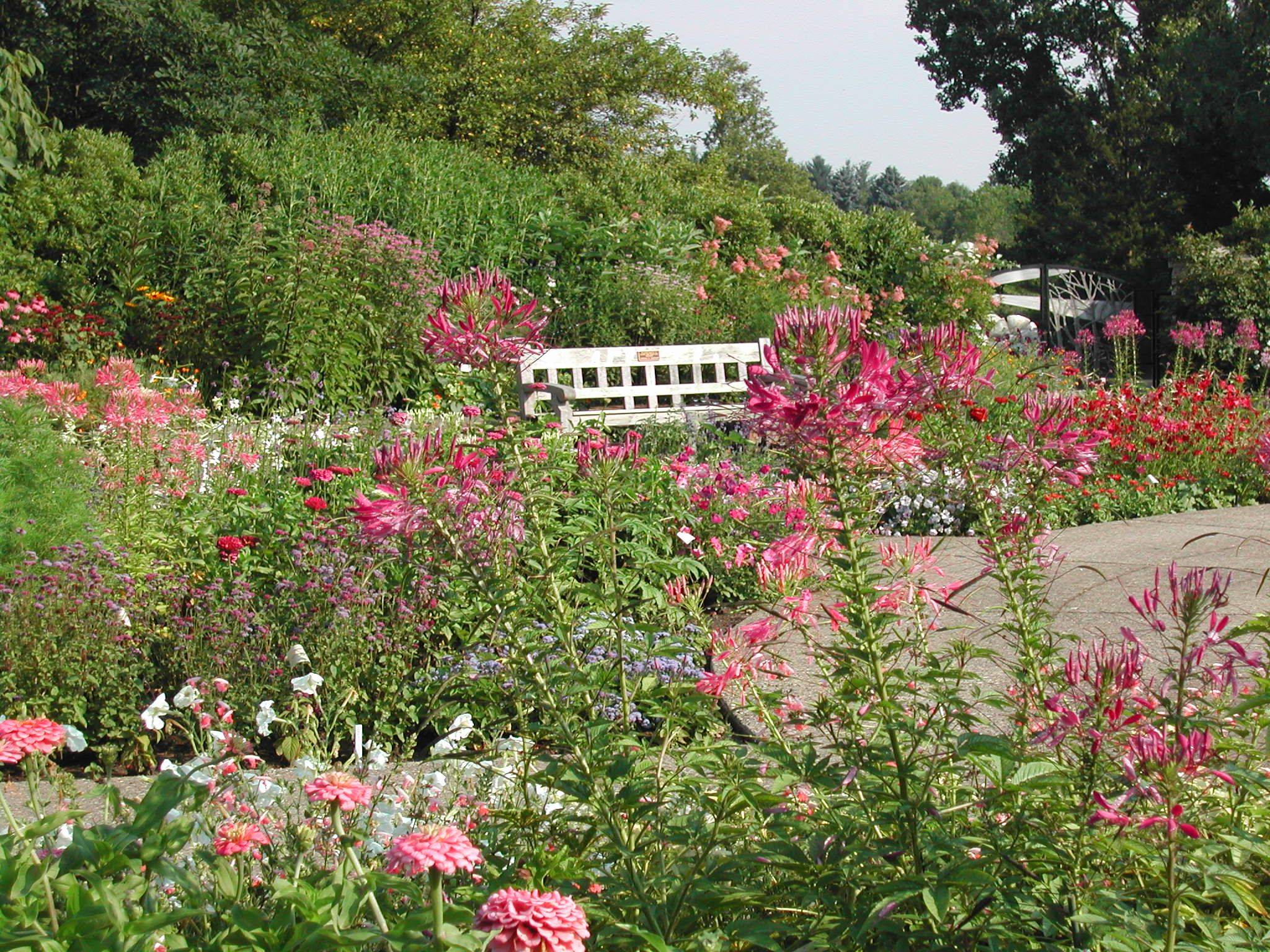Beautiful Botanical Gardens
