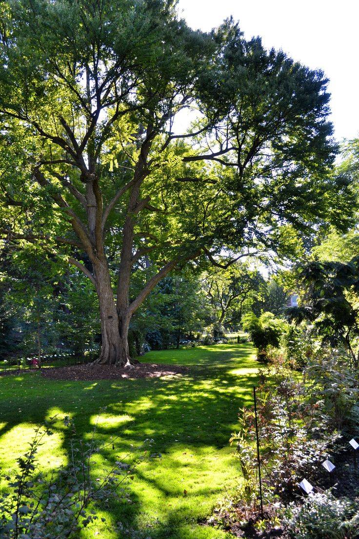 Fernwood Botanical Garden