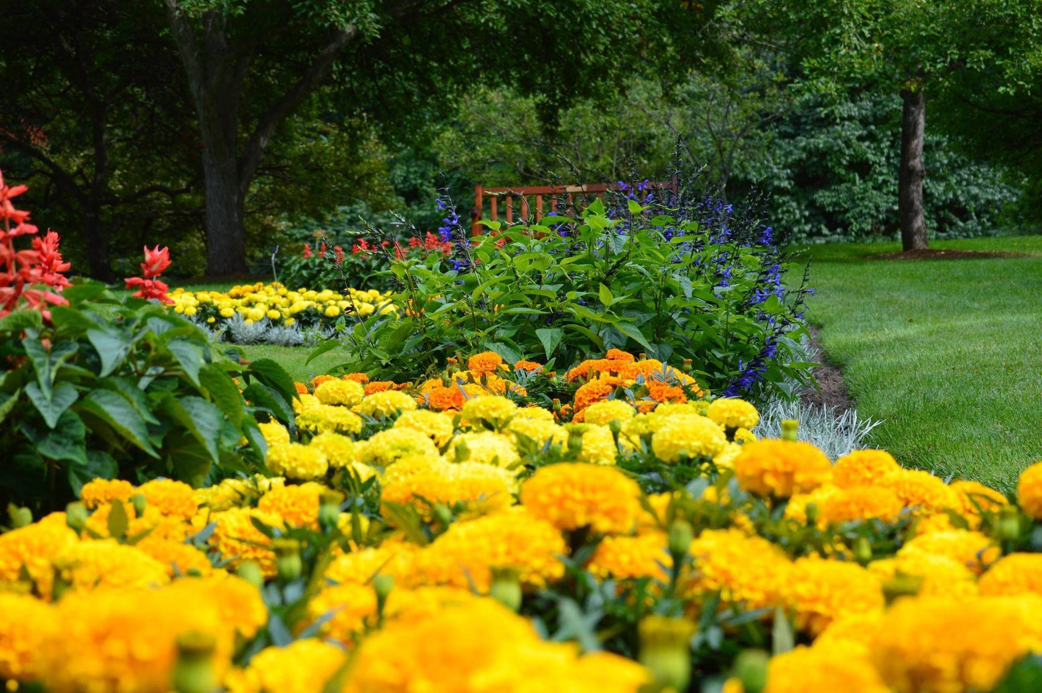 Matthaei Botanical Gardens