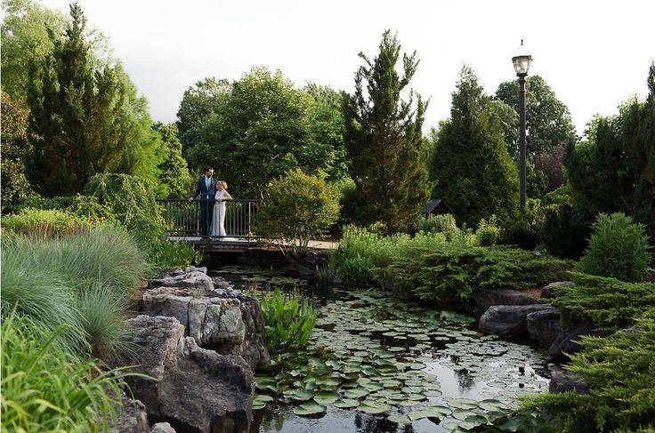 The Garden Ideas Garden