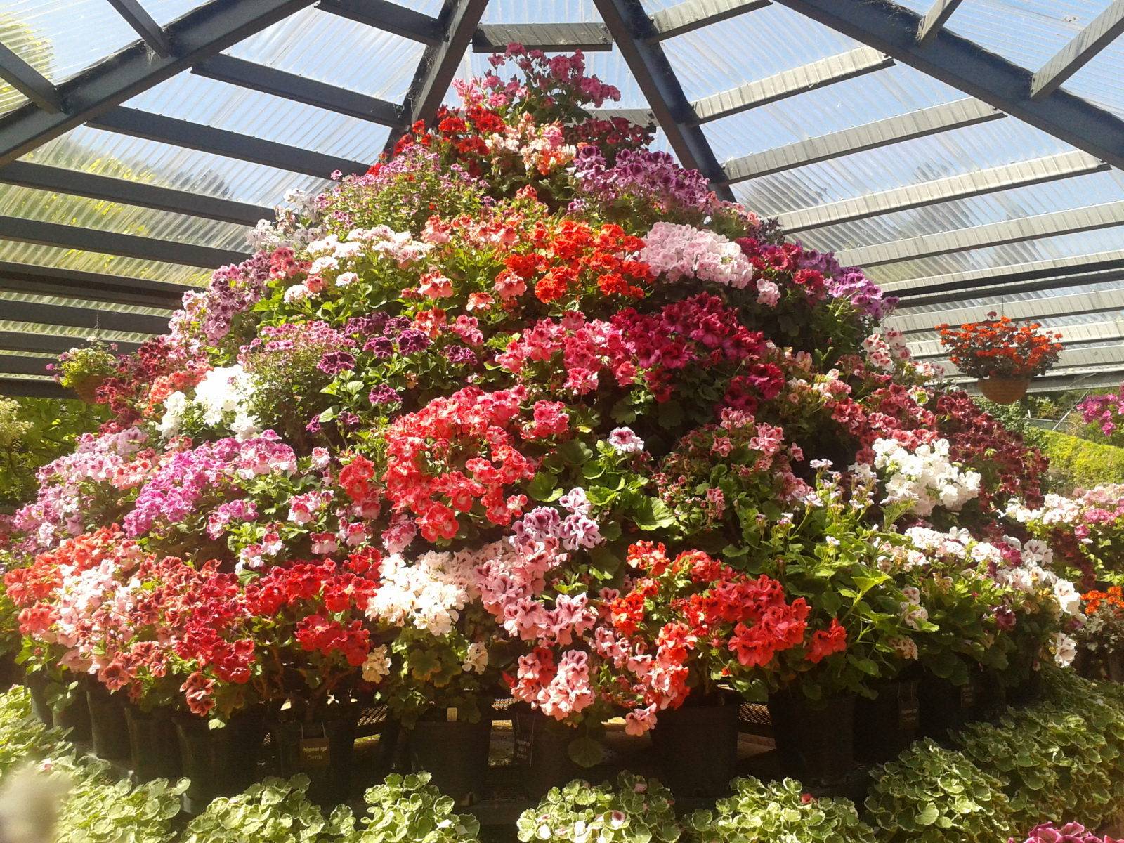 Home Garden Tour Olbrich Botanical Gardens