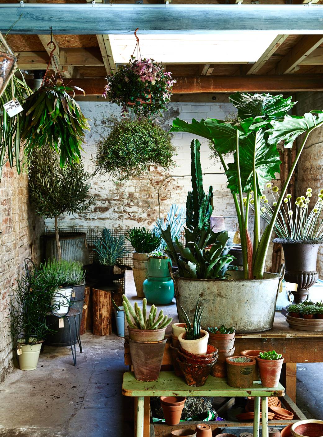 The Temperate Mediterranean House