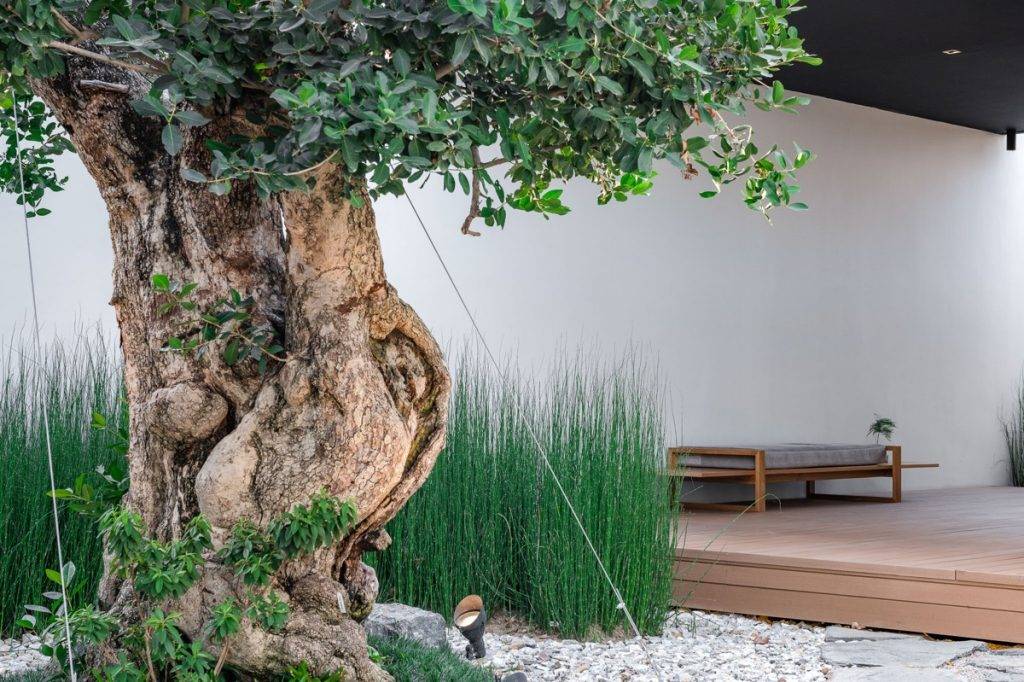 A Classic Traditional Thai Garden