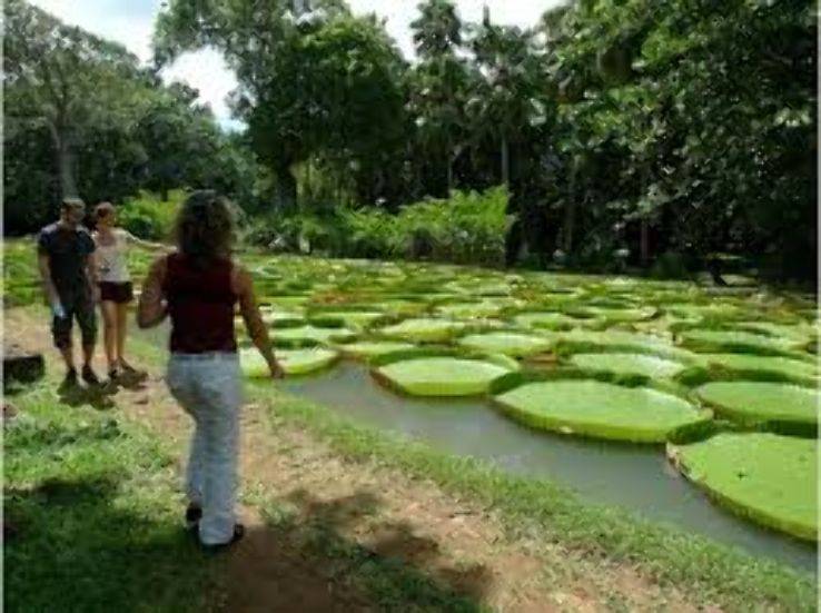 Royal Botanical Gardens