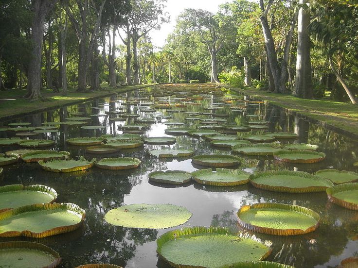 Pamplemousse Botanical Garden