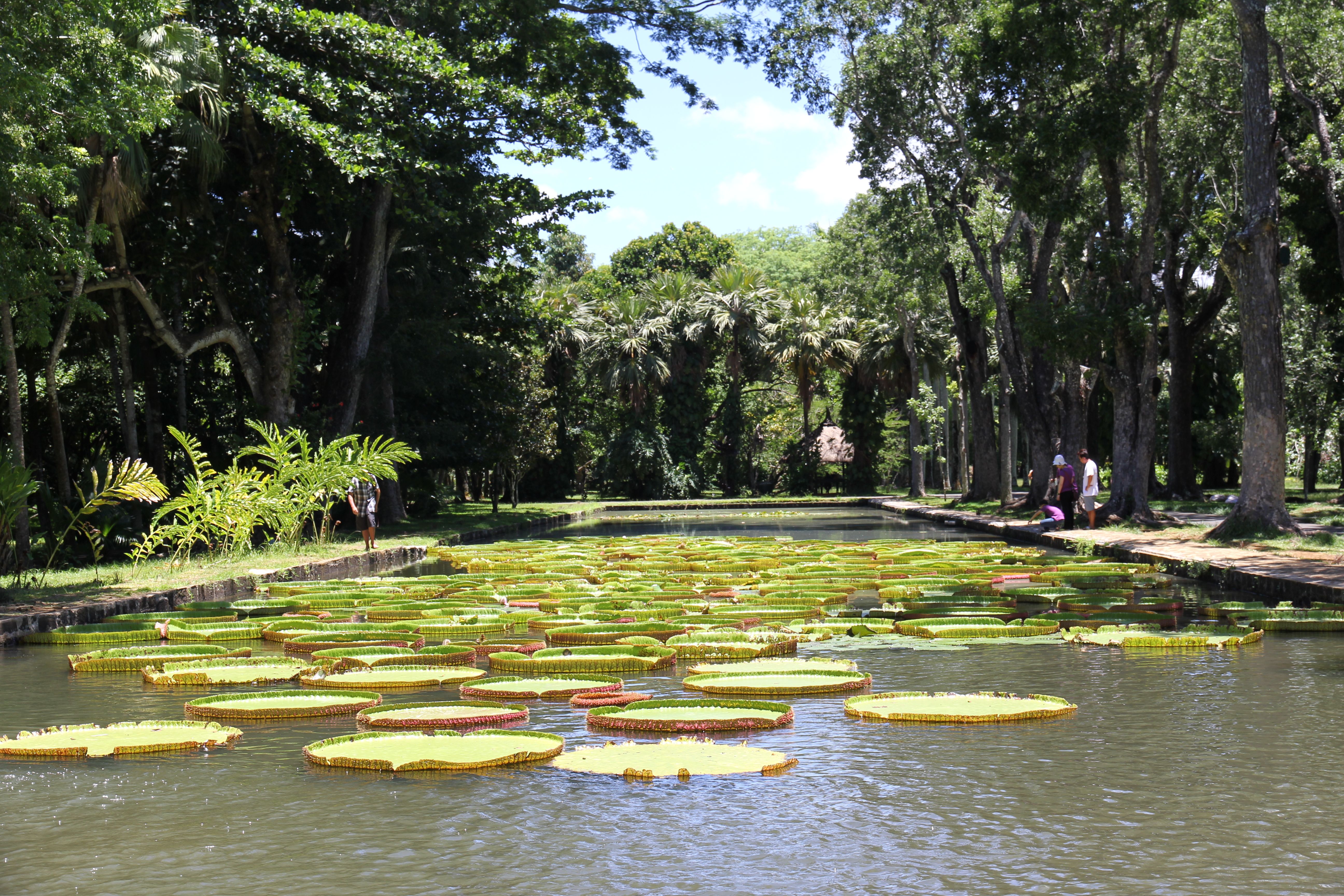 Pamplemousses Botanical Garden