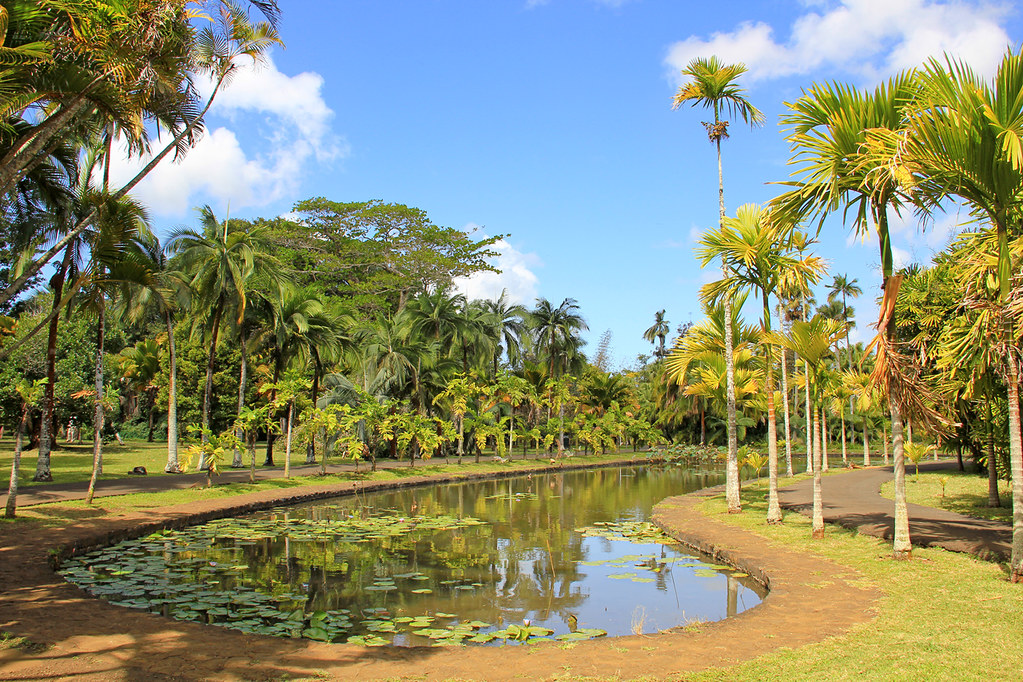 Mauritius Island National Botanical