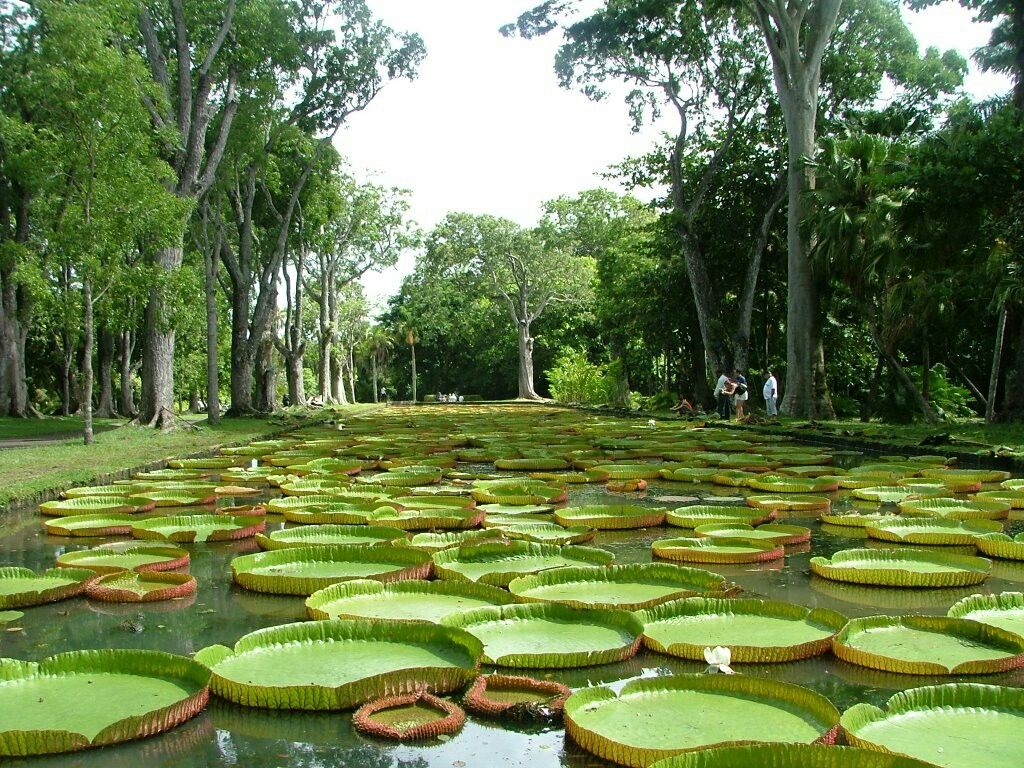 Botanical Gardens