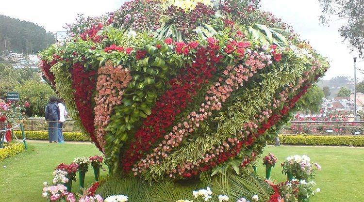Green Planet Thrissur Kerala Landscape Design Construction