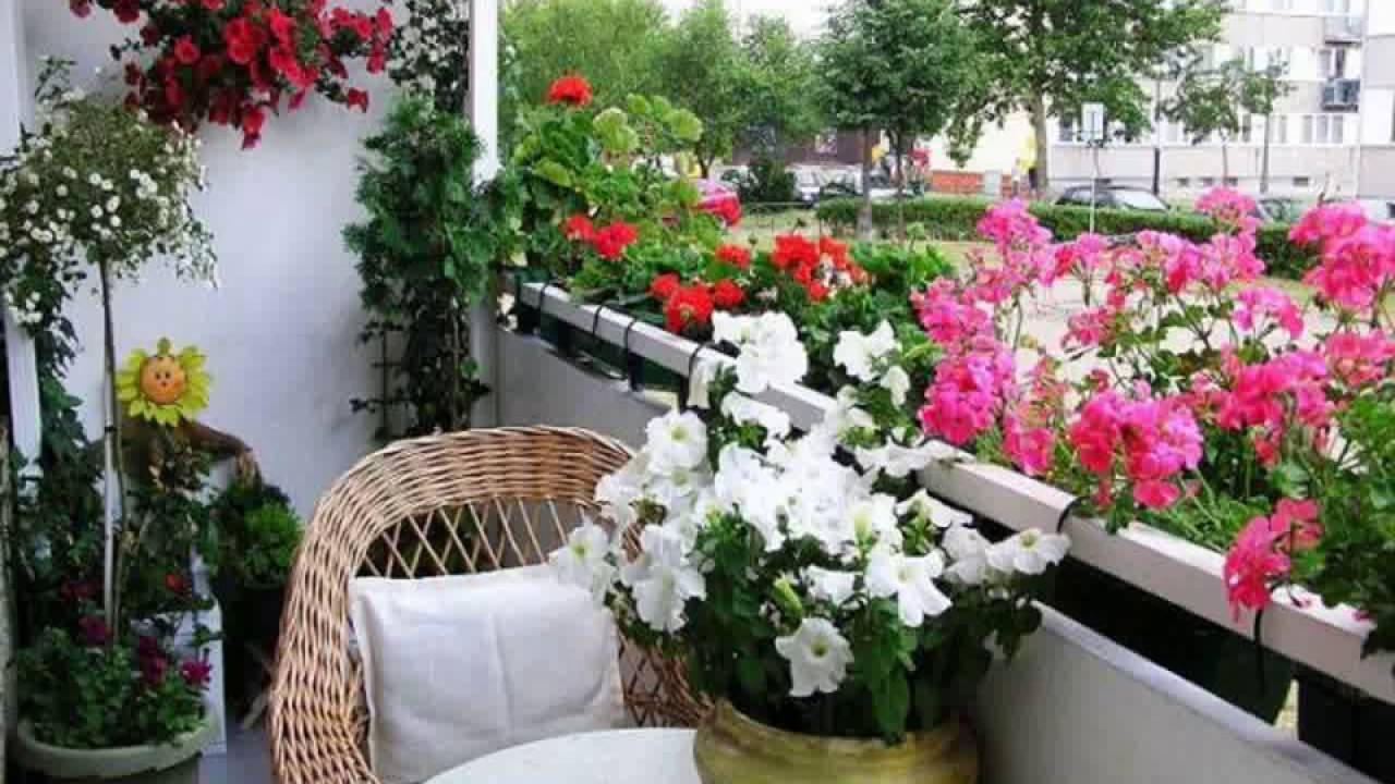 Kerala Home Gardens