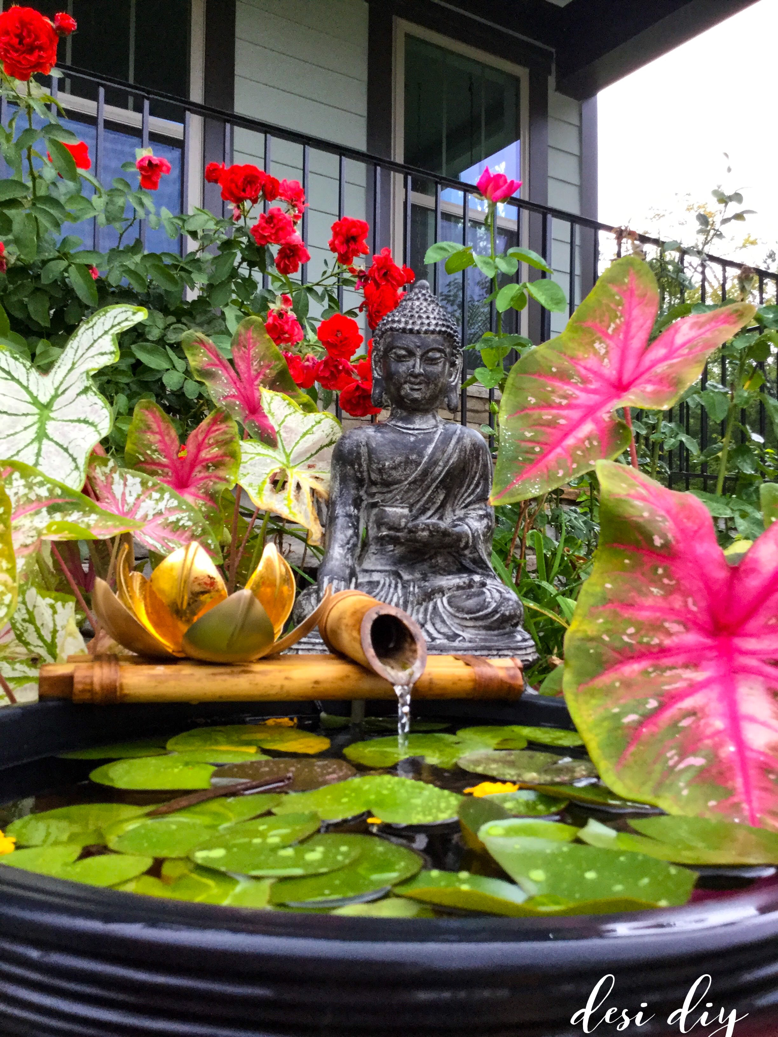 Lotus Flower Japan Stock Photo