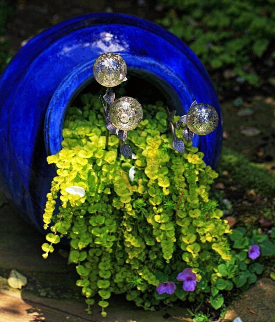 Your Flowers