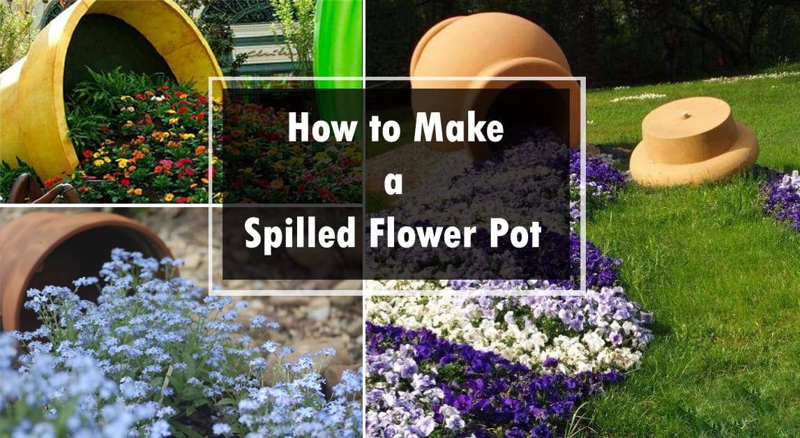 Best Spilled Flower Pot Ideas