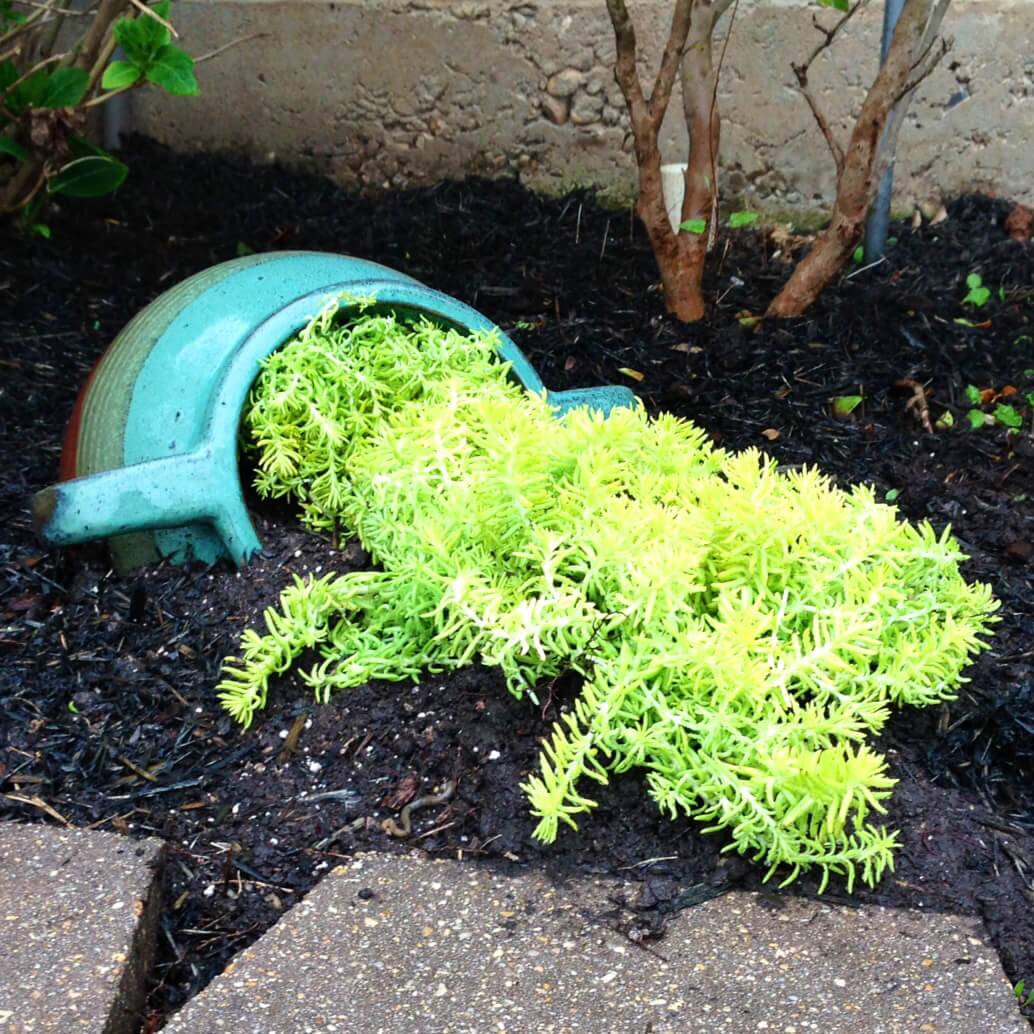 Best Spilled Flower Pot Ideas