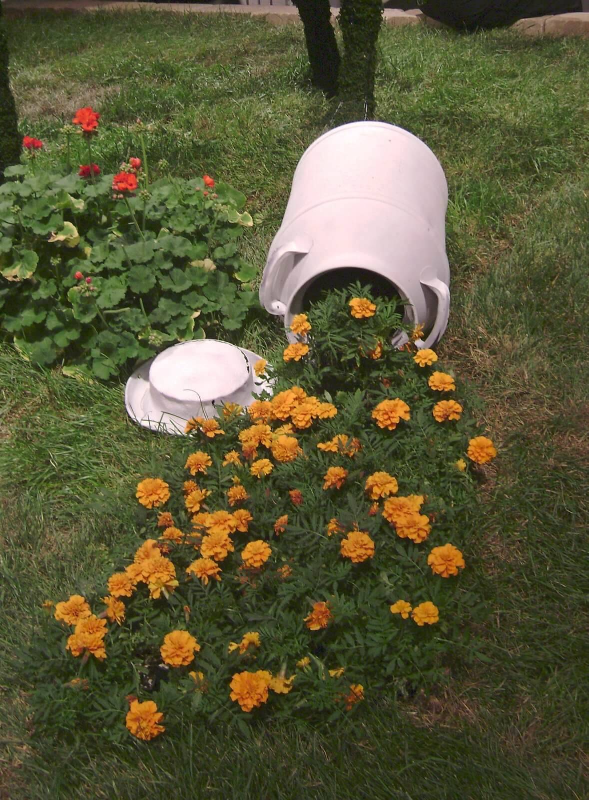 Best Spilled Flower Pot Ideas