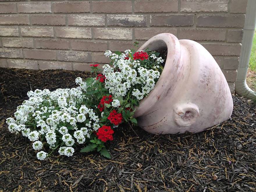 Your Flowers A Liquid Touch