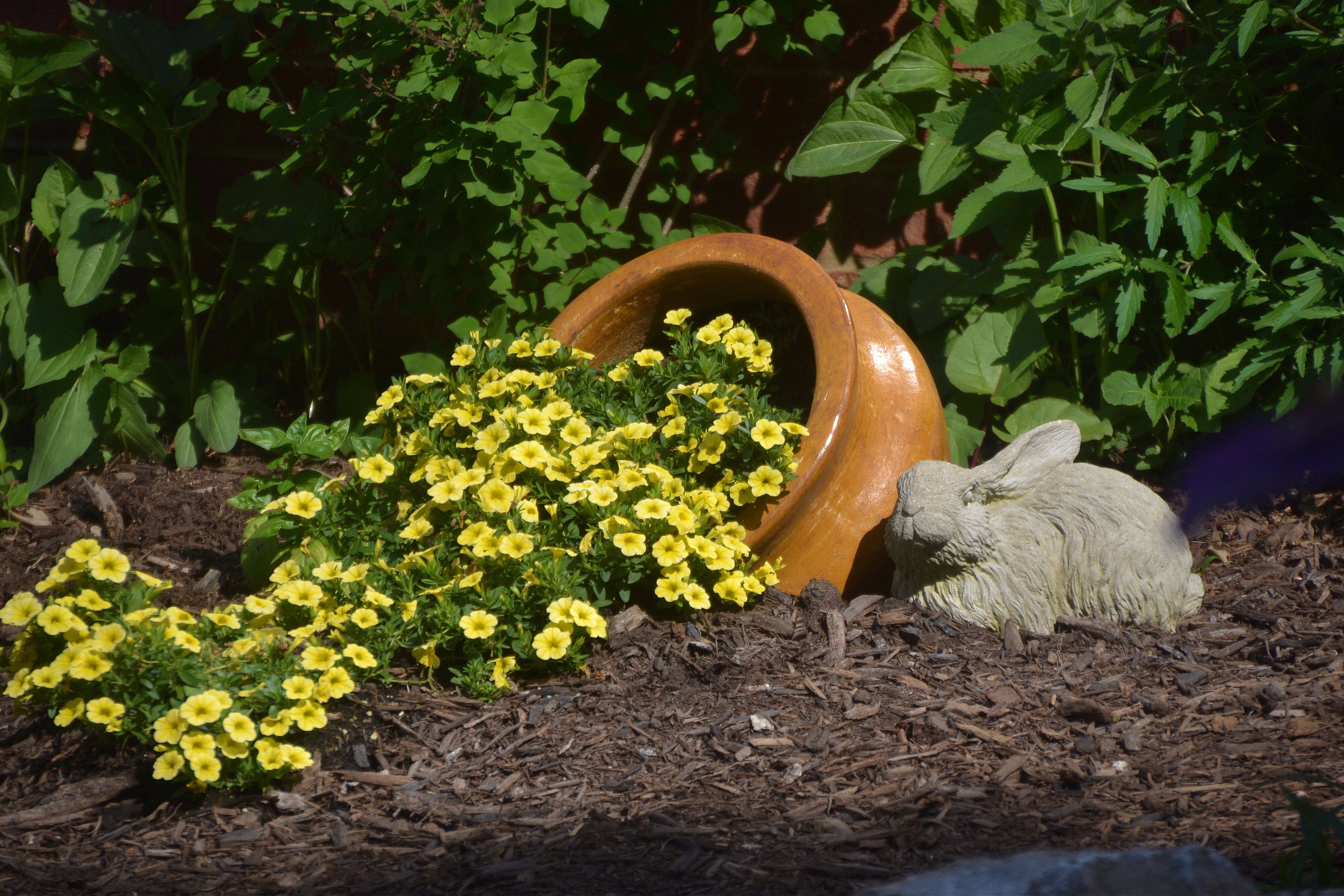 Front Garden Design Ideas Garden Plant Pots Flower Pots Spilled