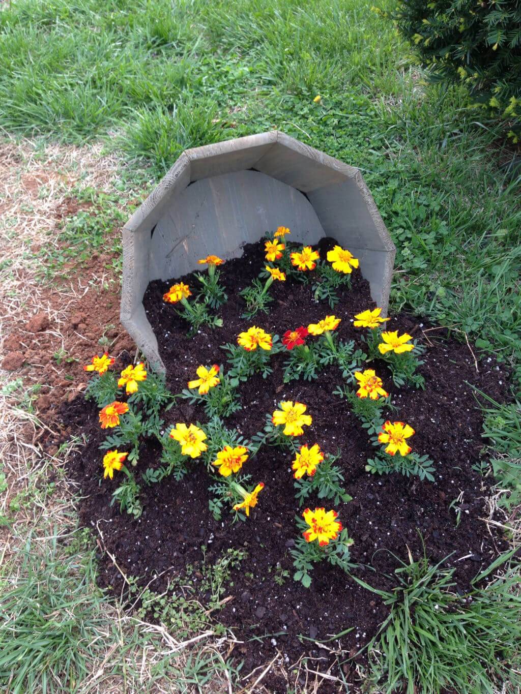 Garden Ideas