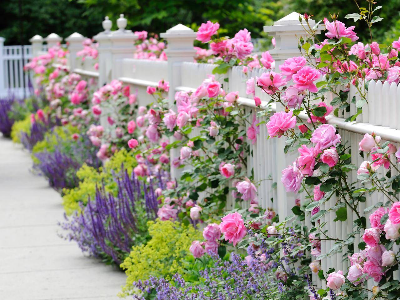 Perfect Front Yard Cottage Garden Ideas