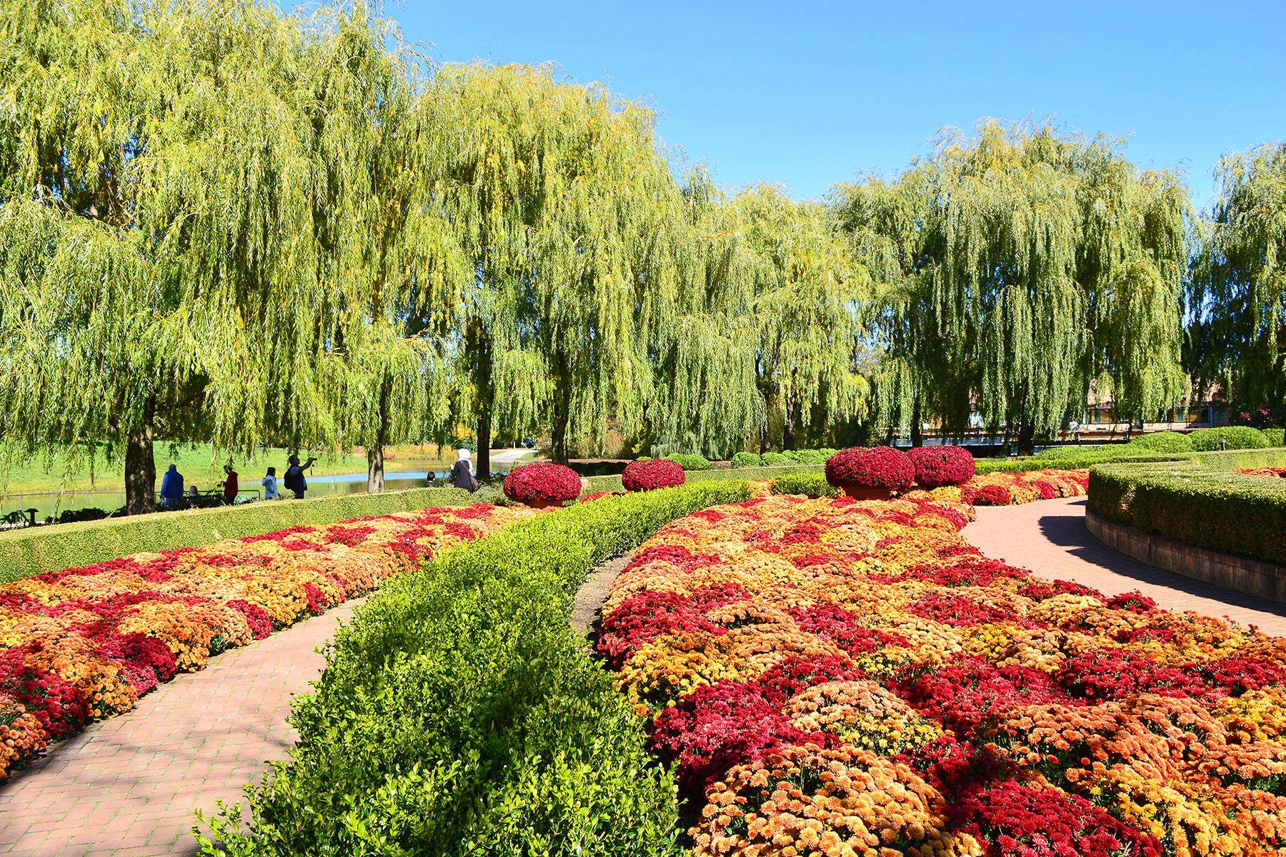 Botanic Garden Japanese Garden