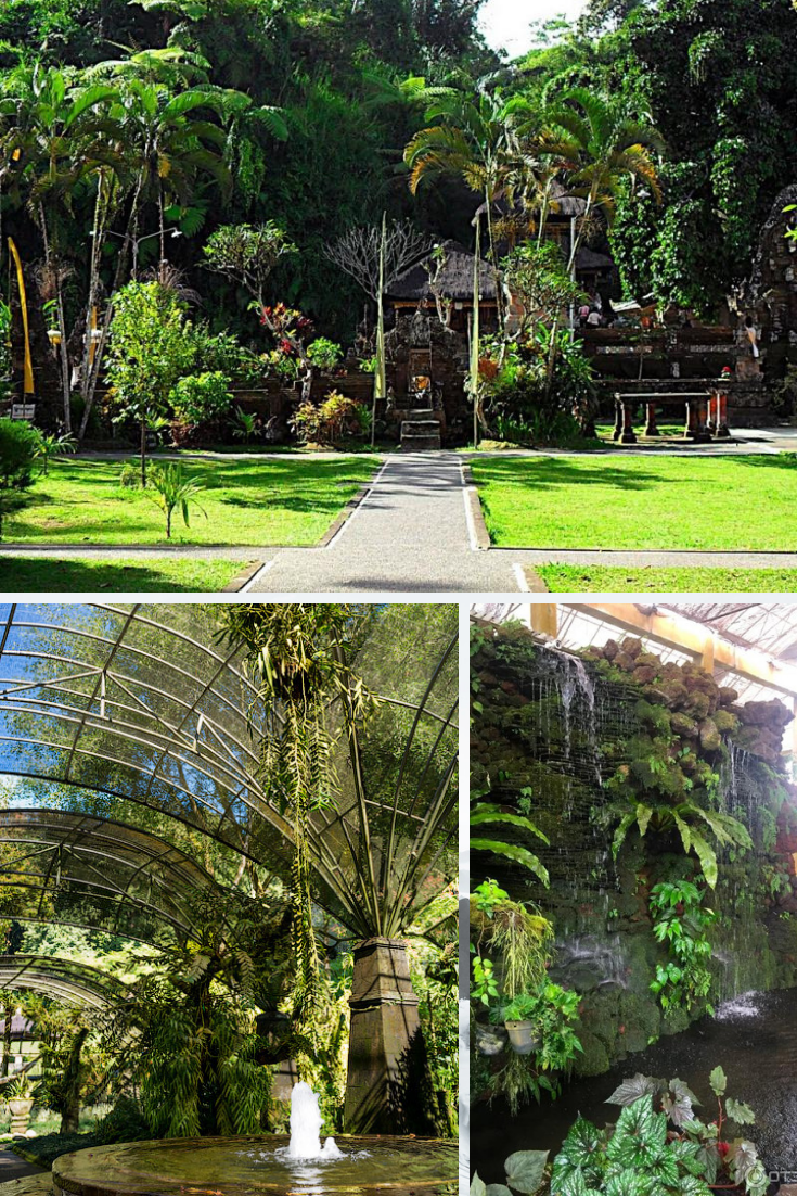Indonesias Largest Botanic Gardens Go
