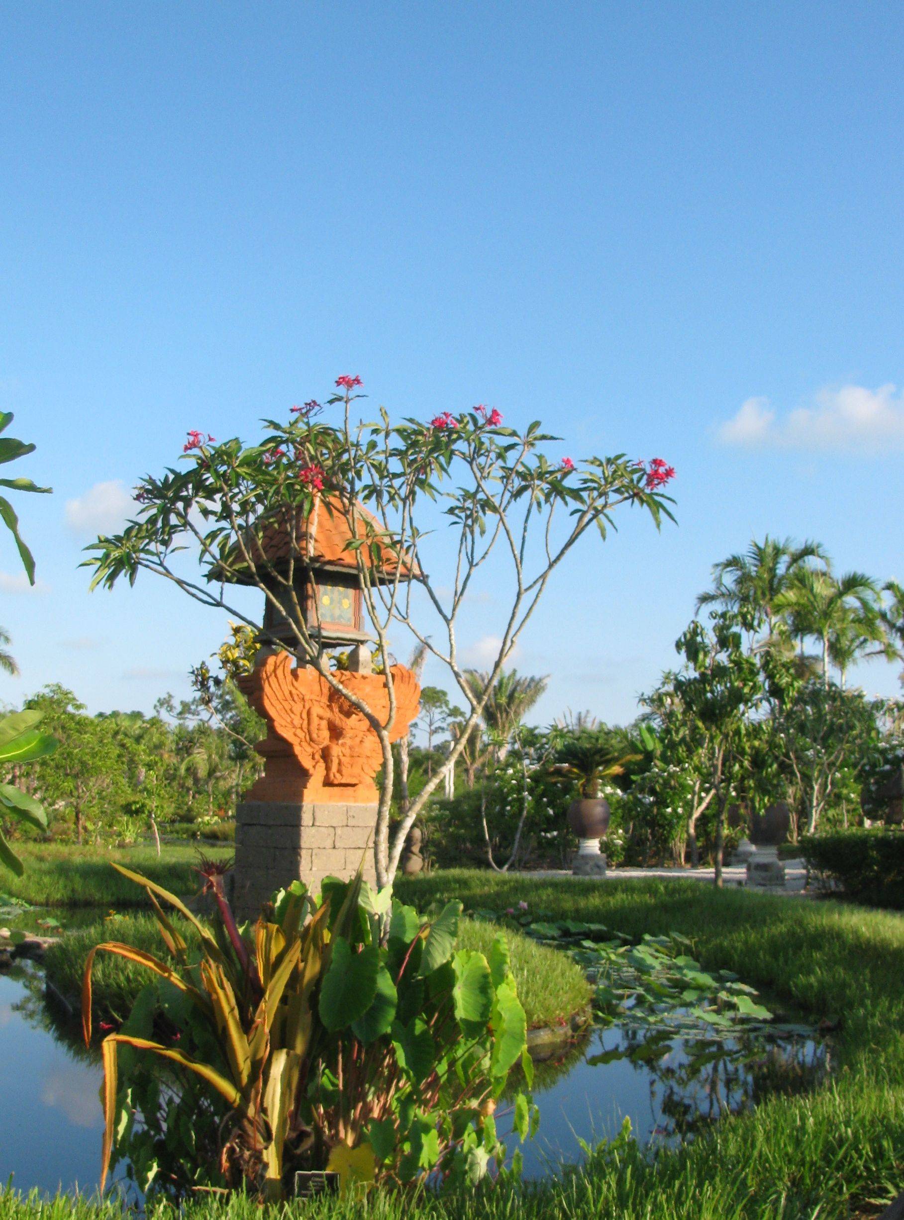Jardin Bali Bing Images