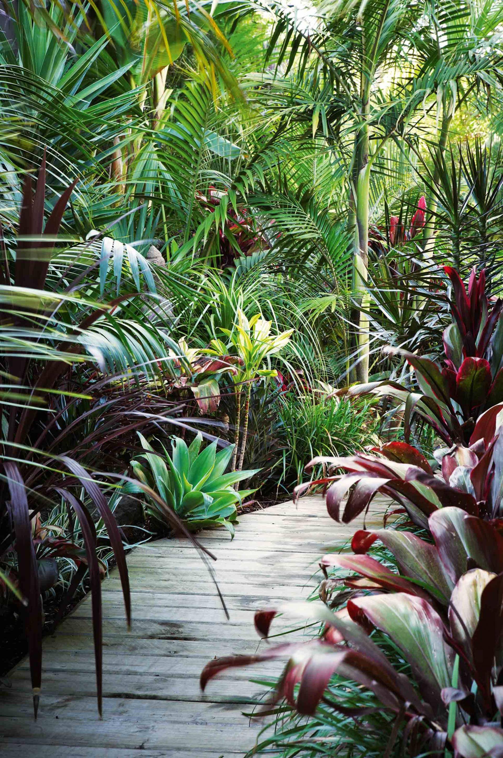 Tina Tropical Garden Design