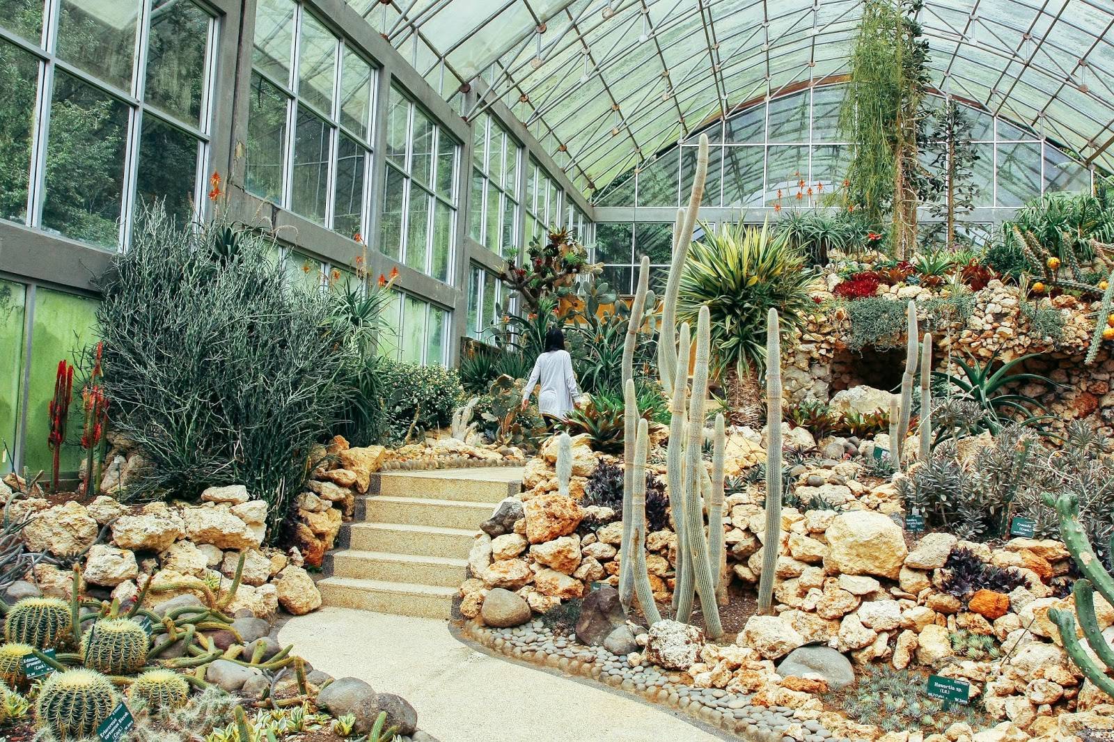 Tina Tropical Garden Design