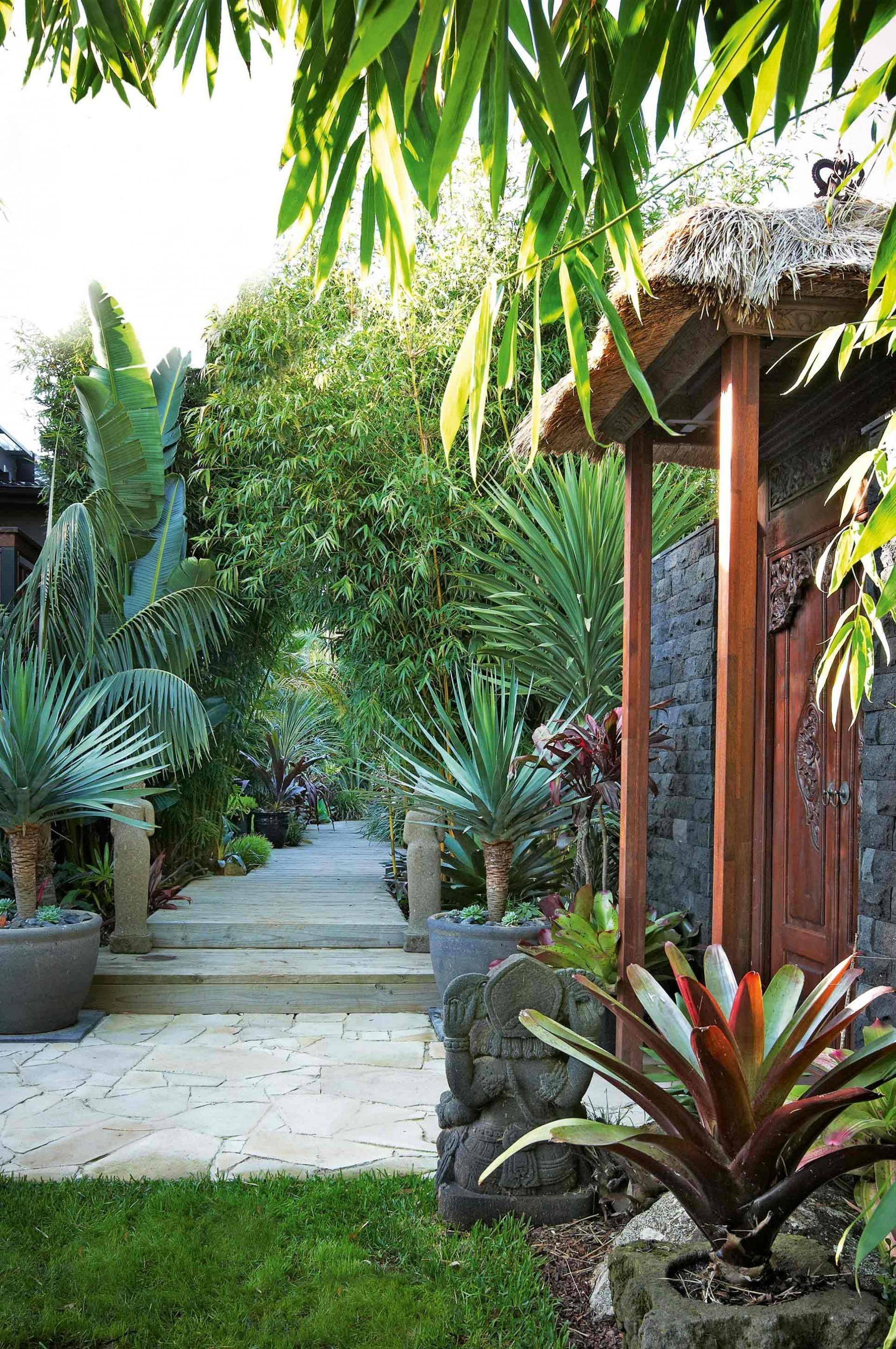 Tropical Garden