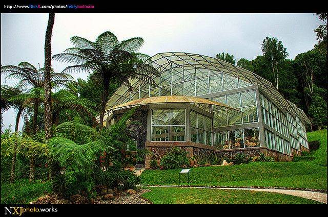Updated Bali Botanic Gardens