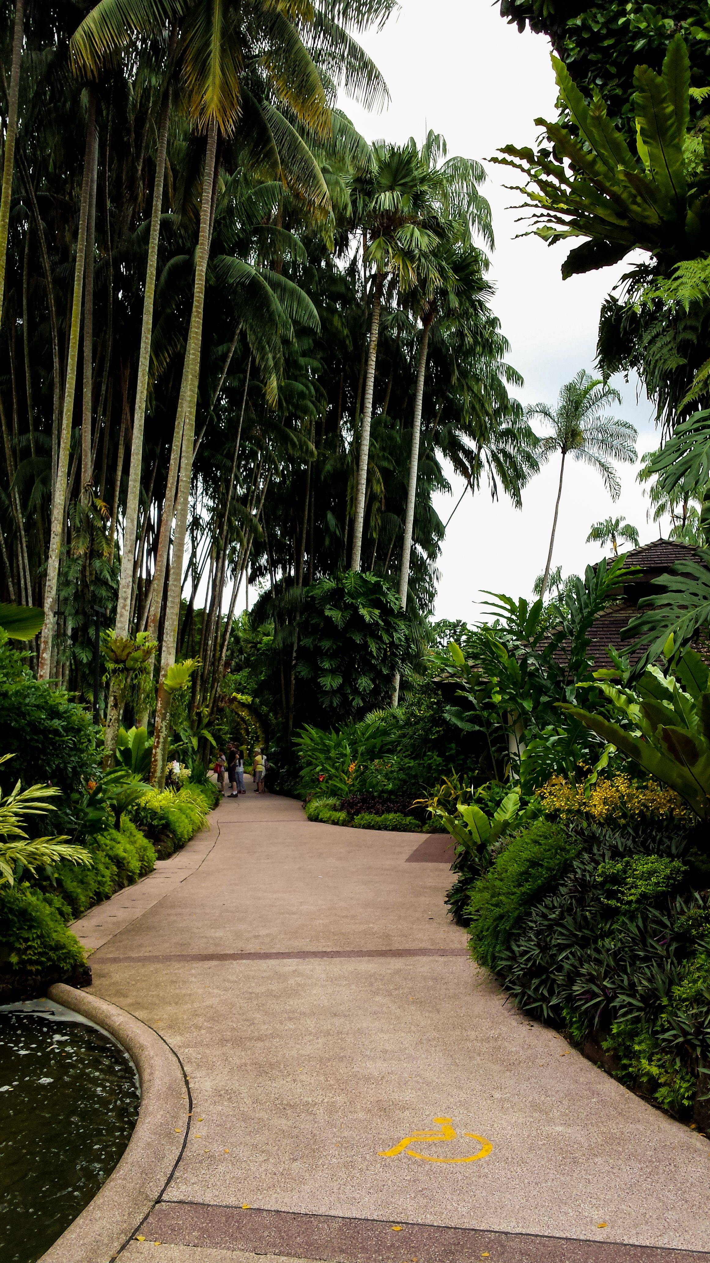 Singapore National Botanical Gardens
