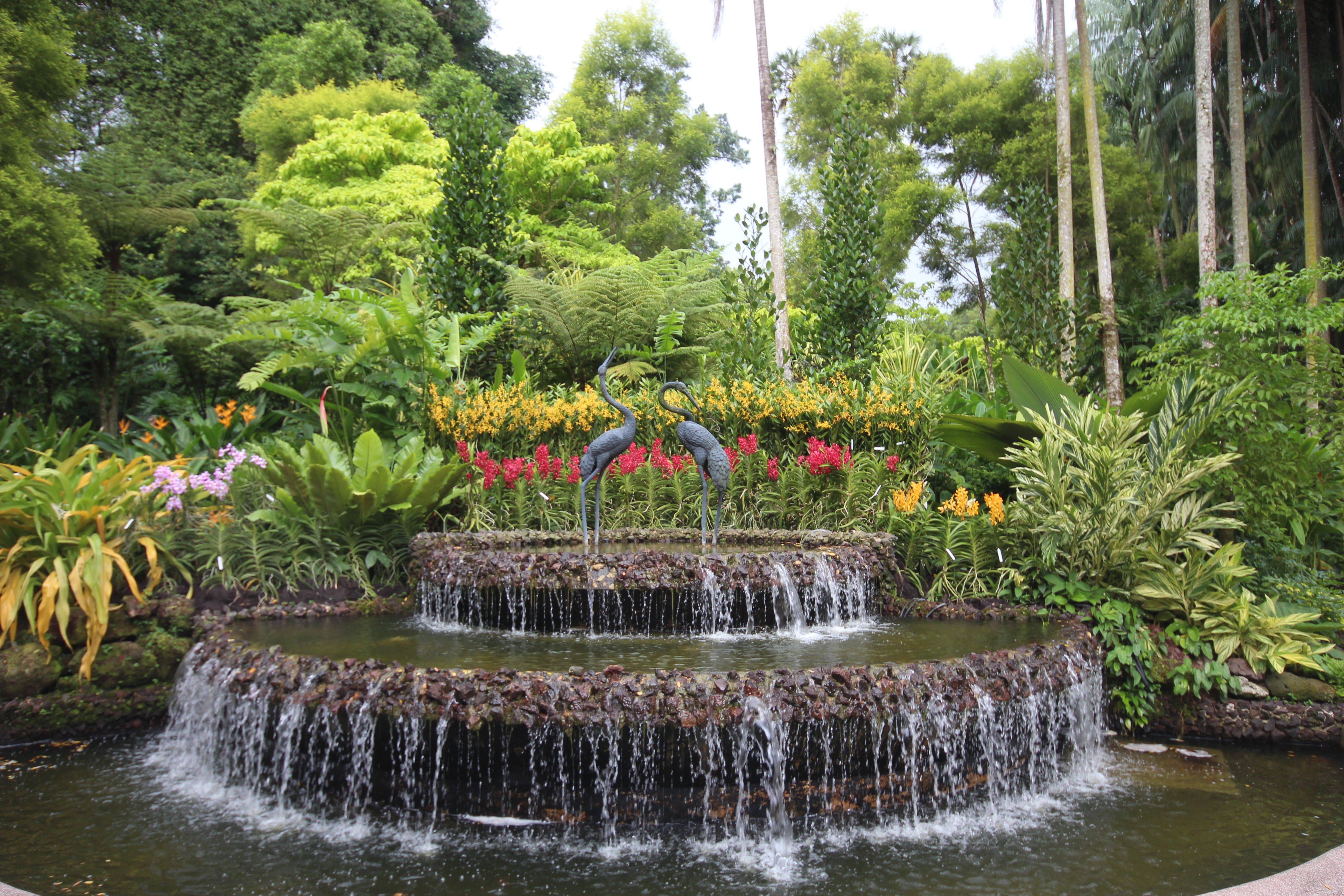 Singapore Botanic Gardens Photo