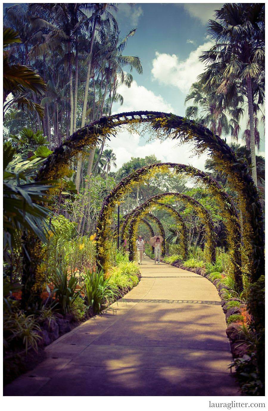 Extraordinary Botanical Garden Winter Park
