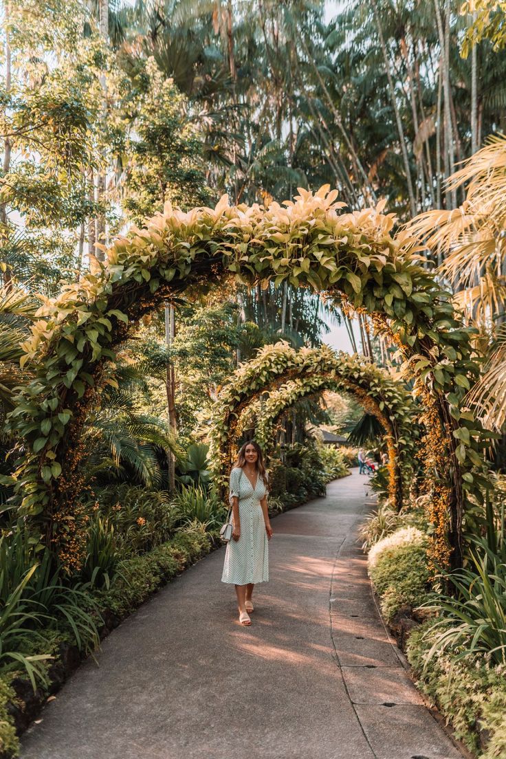 Recent Botanical Garden Key Largo