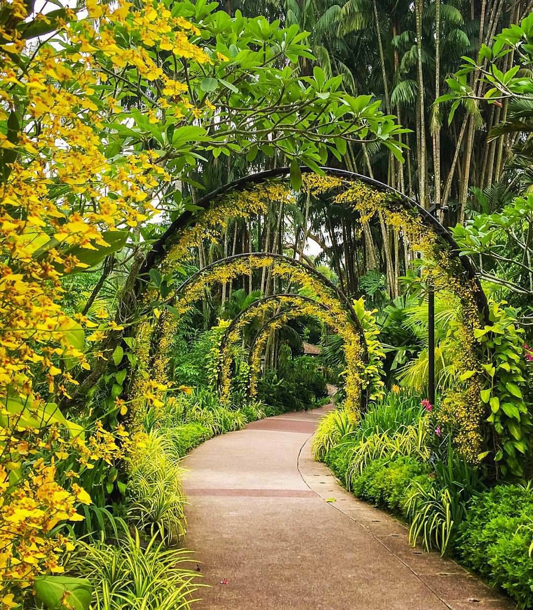 Singapore Botanic Gardens Singapore Botanic Gardens