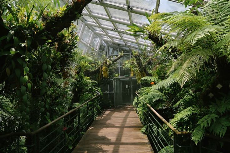 Singaporeapril Singapore Botanic Gardens