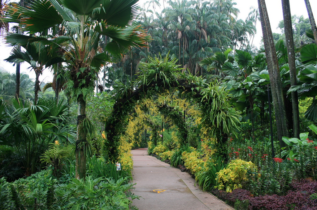 Singapore Botanic Gardens