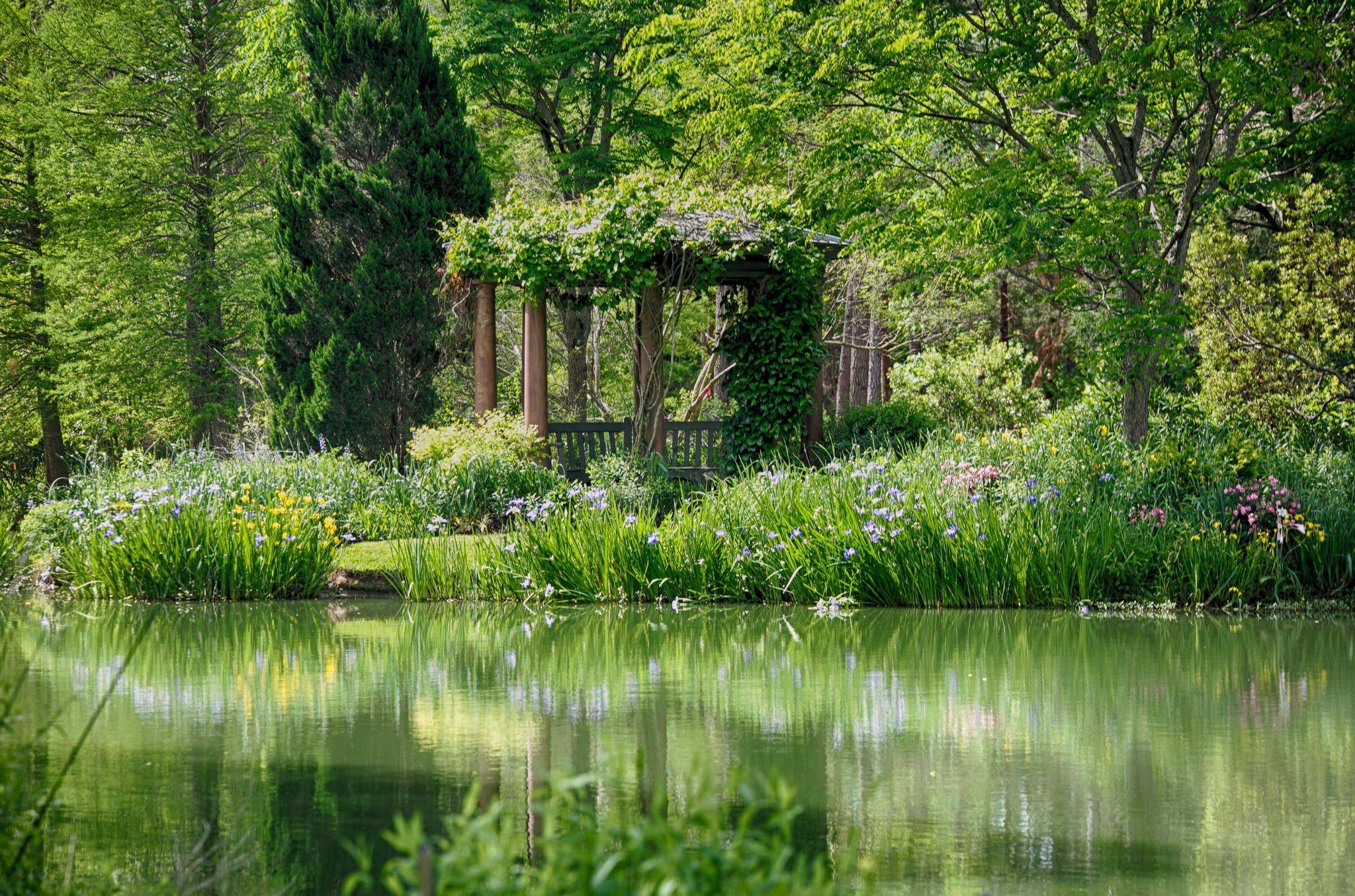 Breathtaking Botanical Gardens