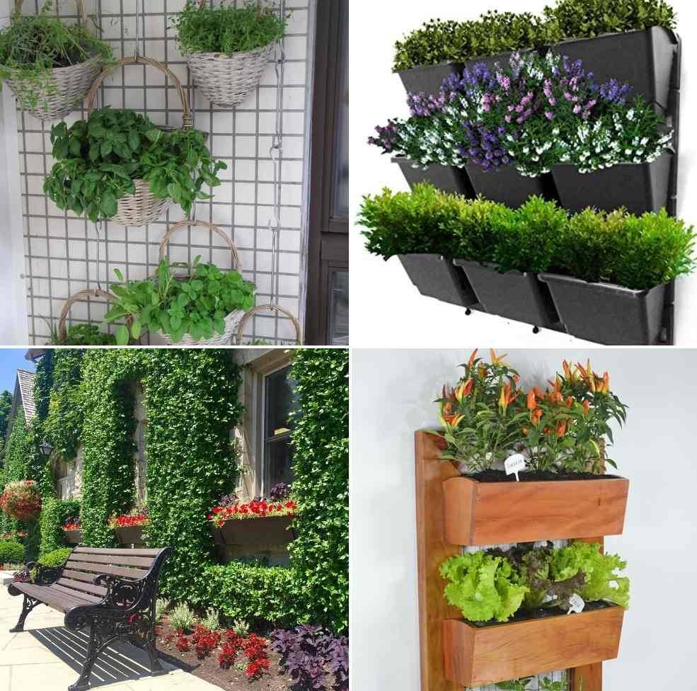 Hardwood Privacy Screen Trellis Fence