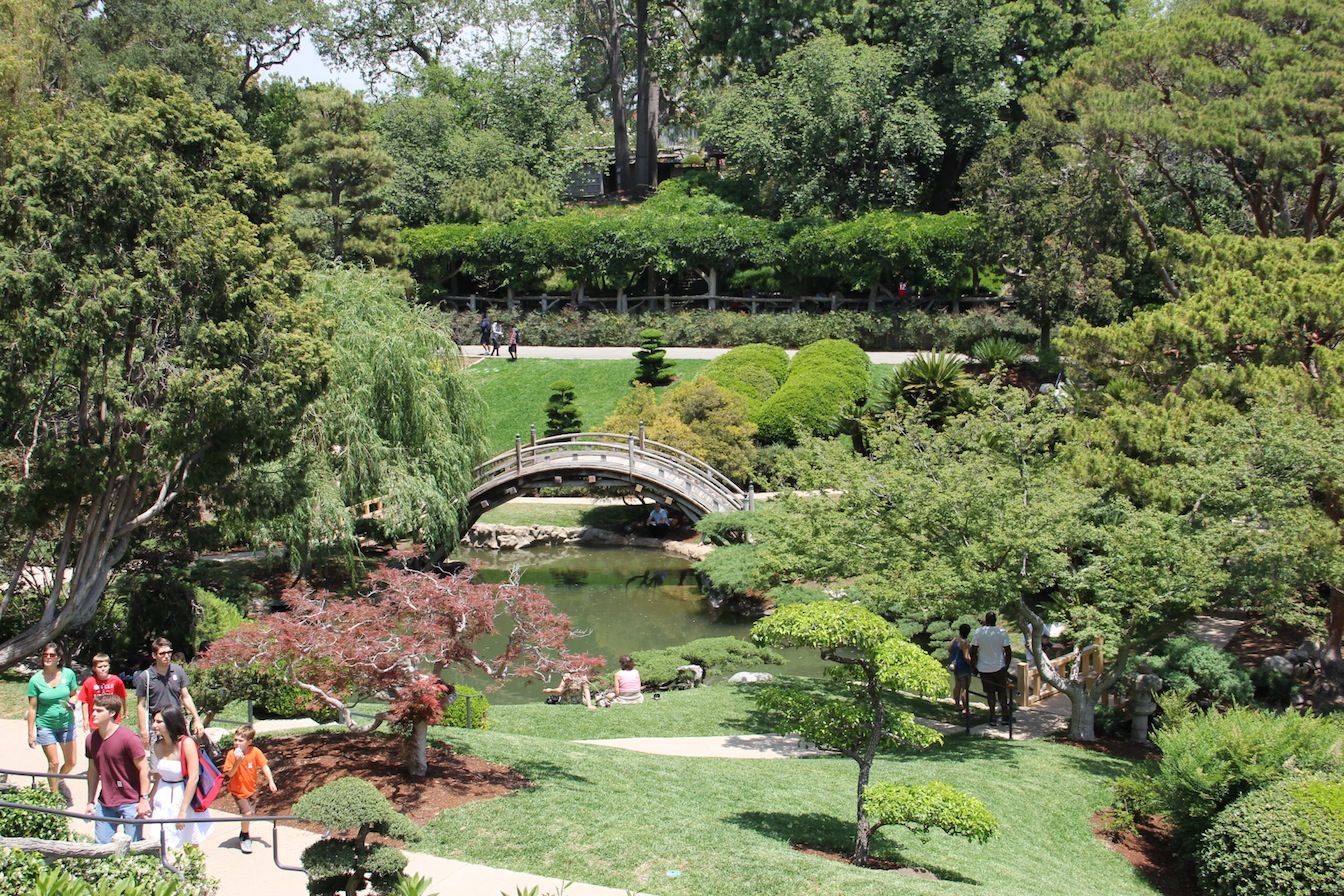 The Huntington Botanical Gardens