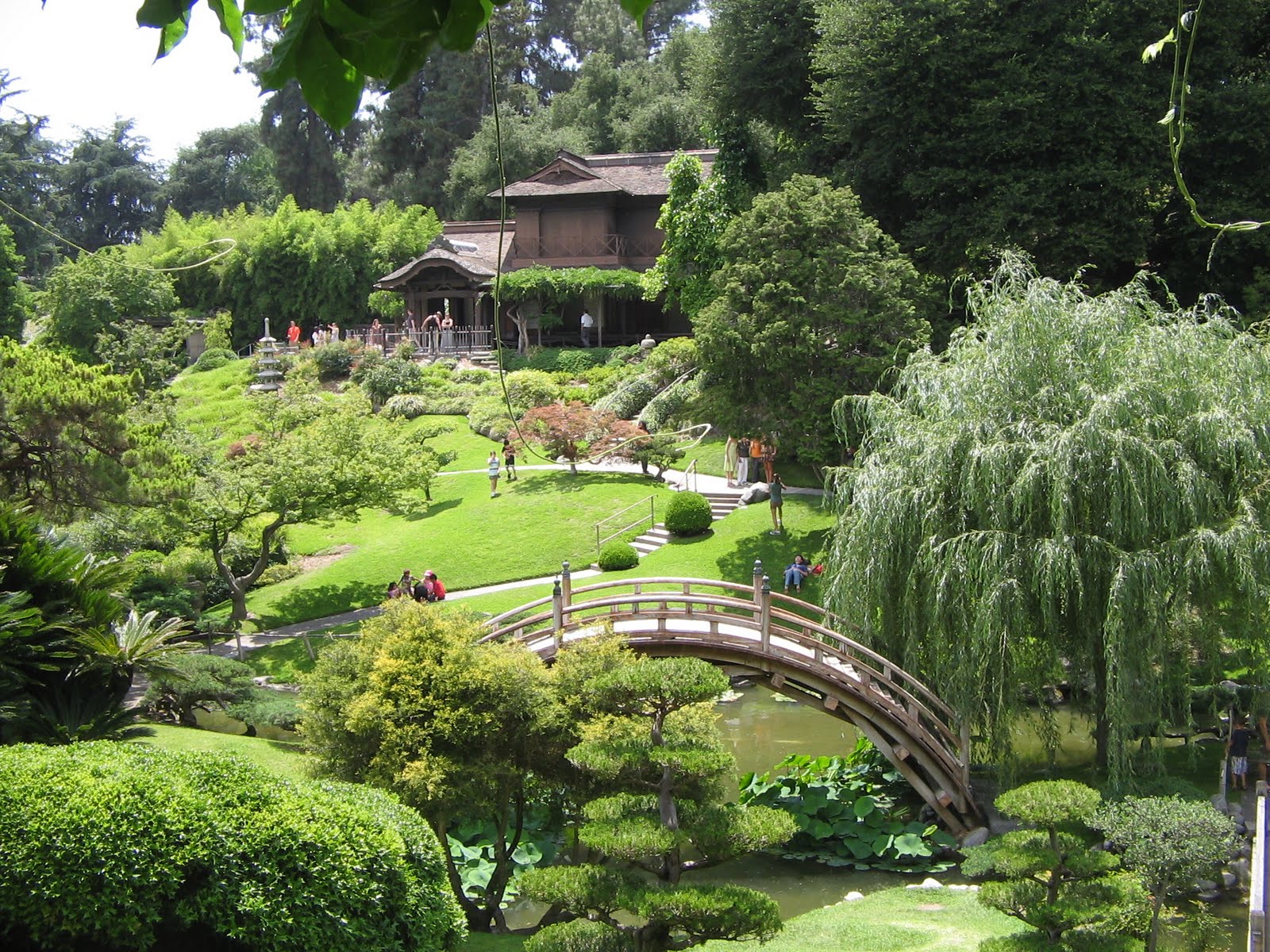 Huntington Japanese Garden Pasadena
