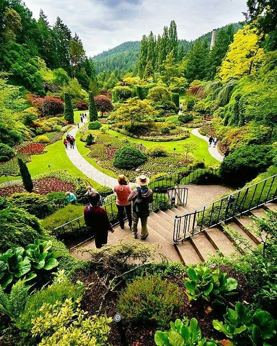 Japanese Garden Pond