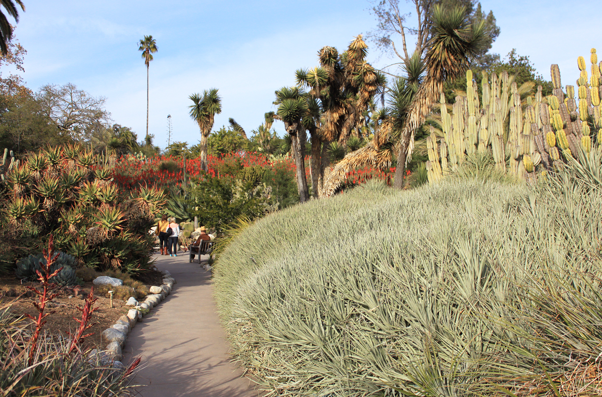Pagoda Stone Diy Backyard Landscaping