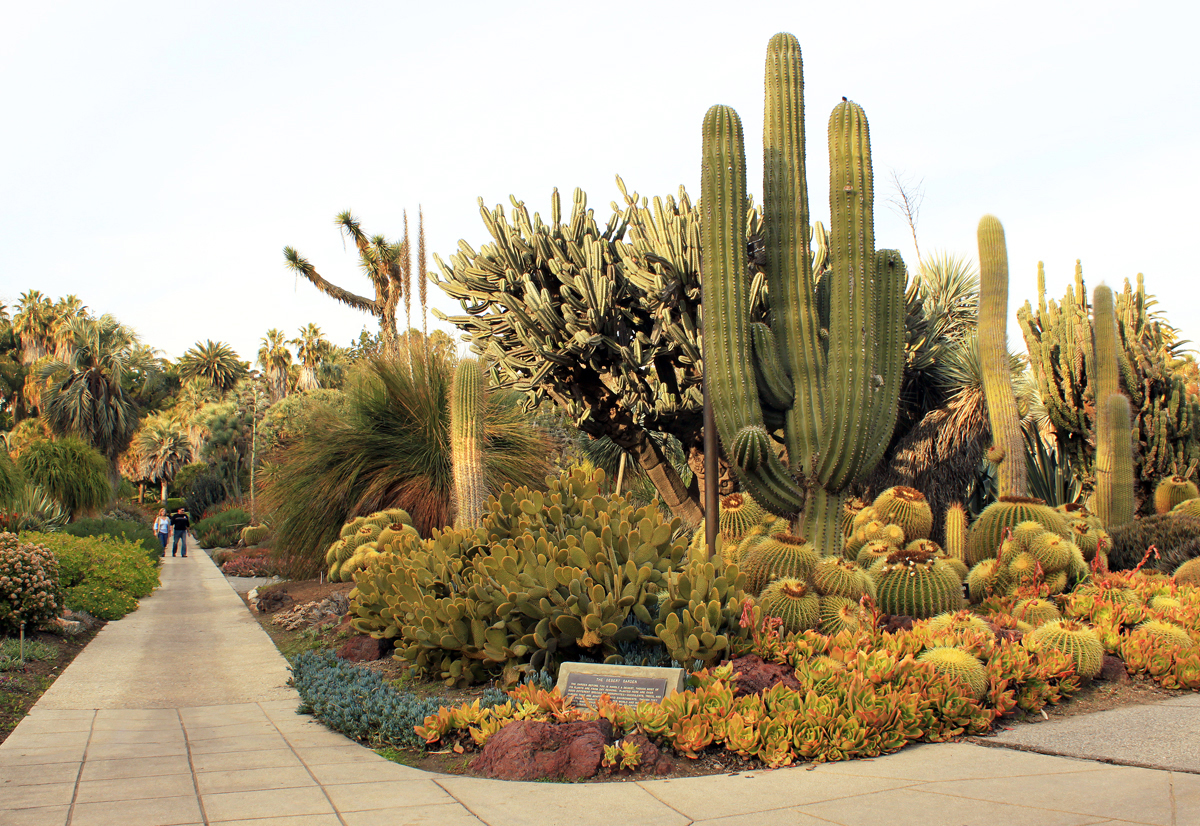 Huntington Gardens Botanical Gardens